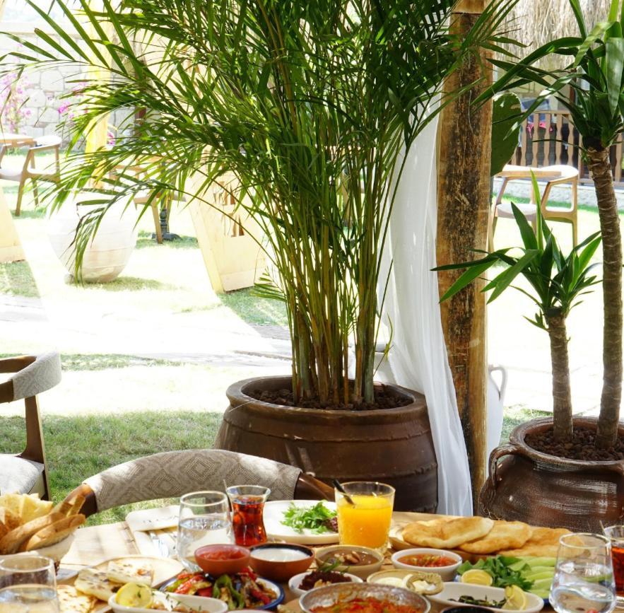 Albeon Luxury Hotel - 阿拉恰特 外观 照片